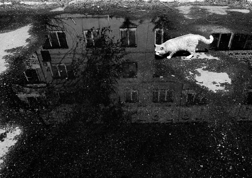 Photograph by Тамара Морозова