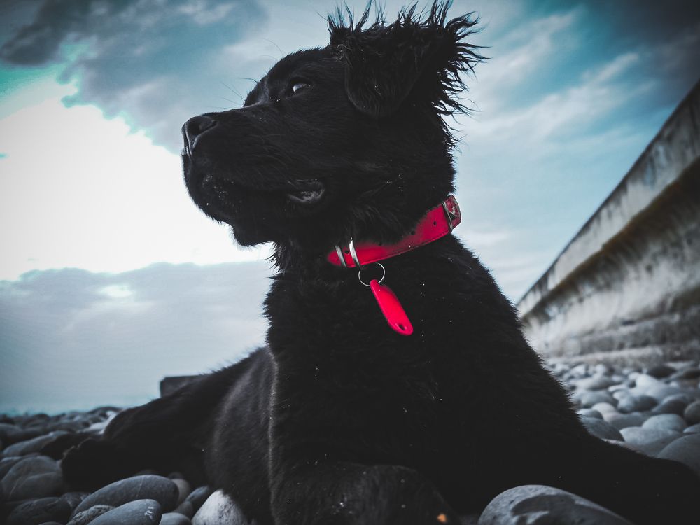 Photograph by Татьяна Осипова