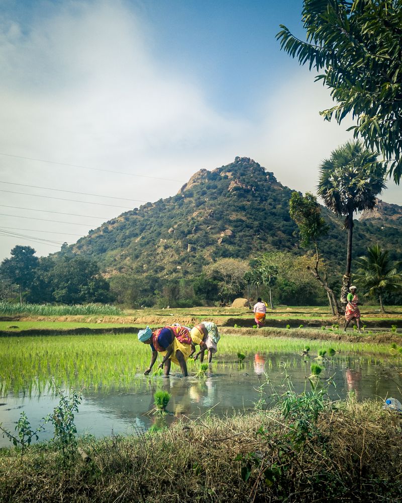 Photograph by Abilash Umapathi