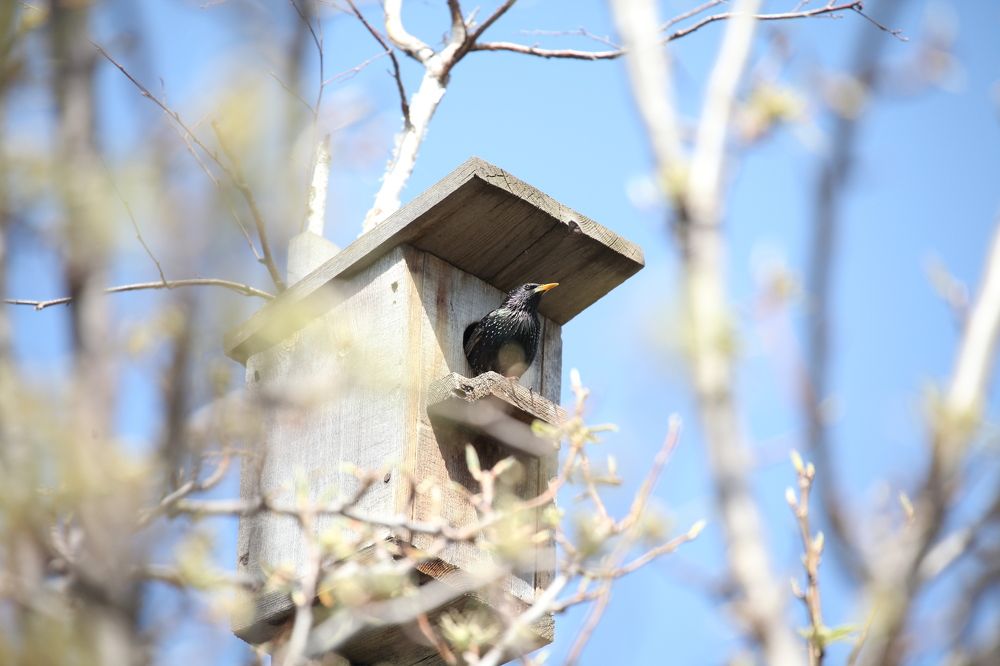 Фотография автора Валерий Каргин