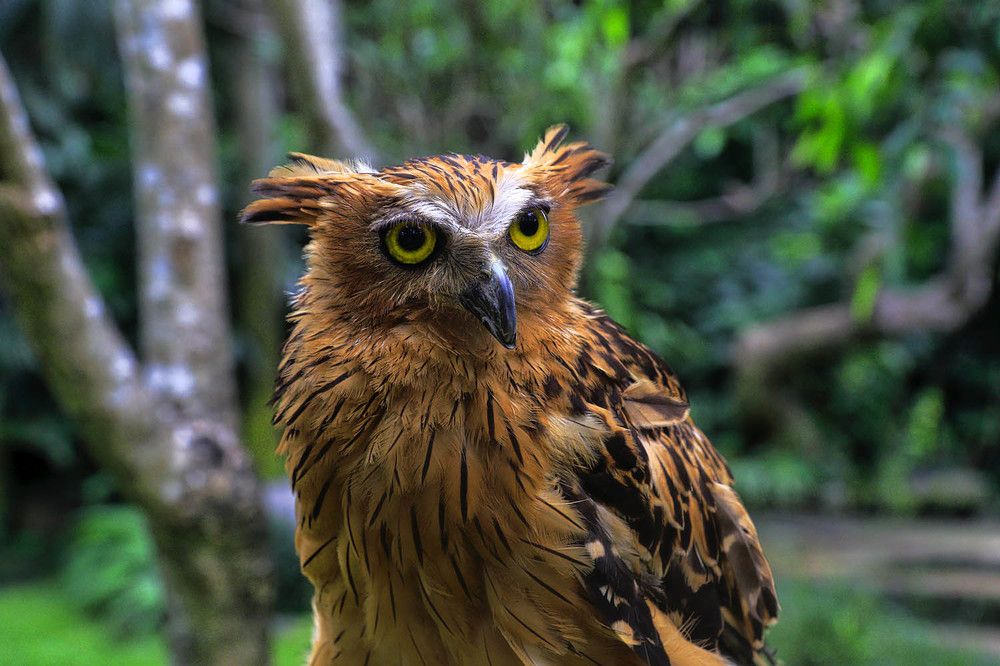 Photograph by Михаил Баевский