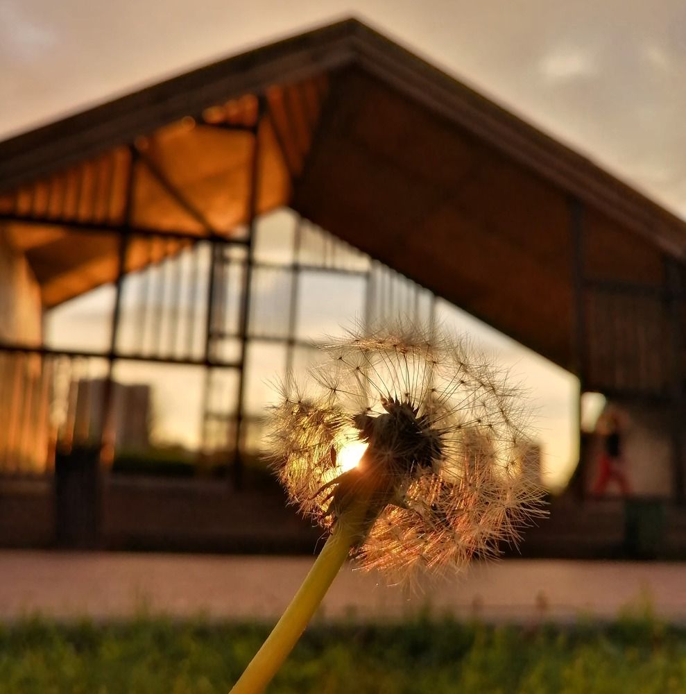 Photograph by Наталья Береговская