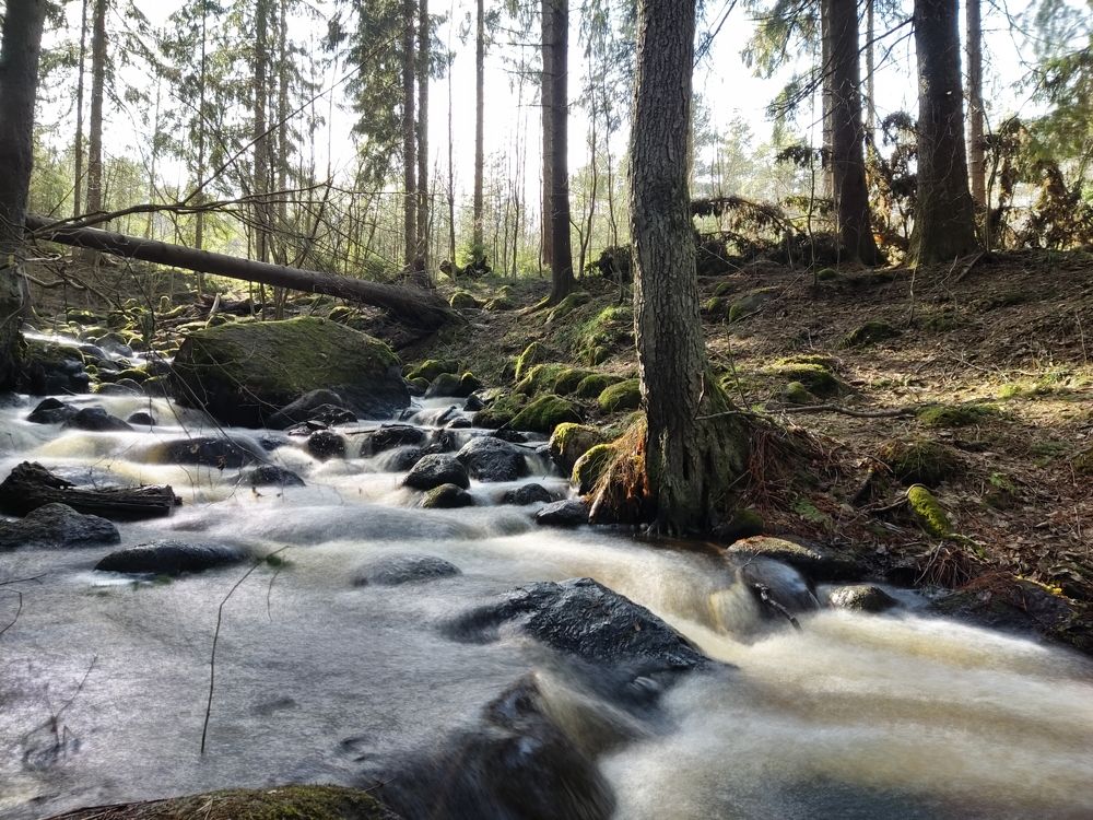 Photograph by Марина Кравцова