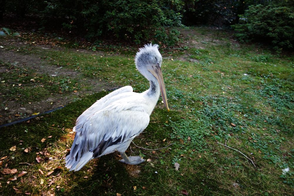 Фотография автора Валентина Рихмаер