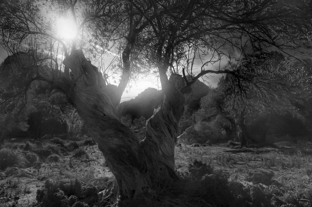 Photograph by ROQUE RAMAJO POLO