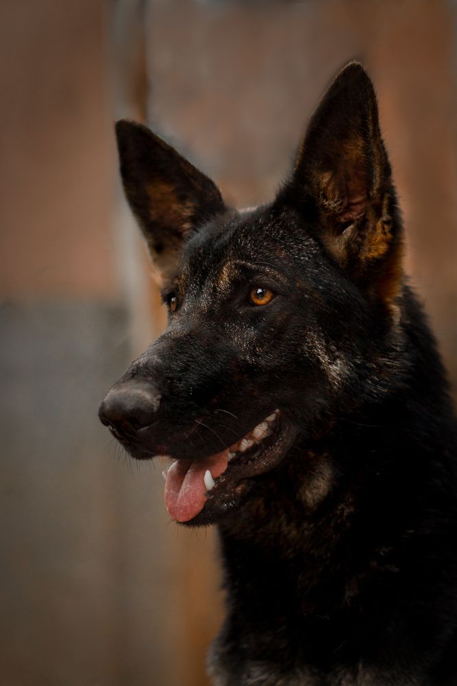 Photograph by Marcia Camargo