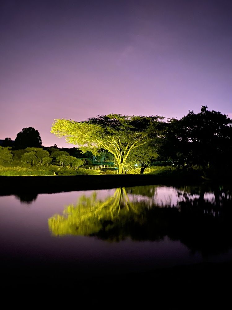 Photograph by Светлана Епифановских