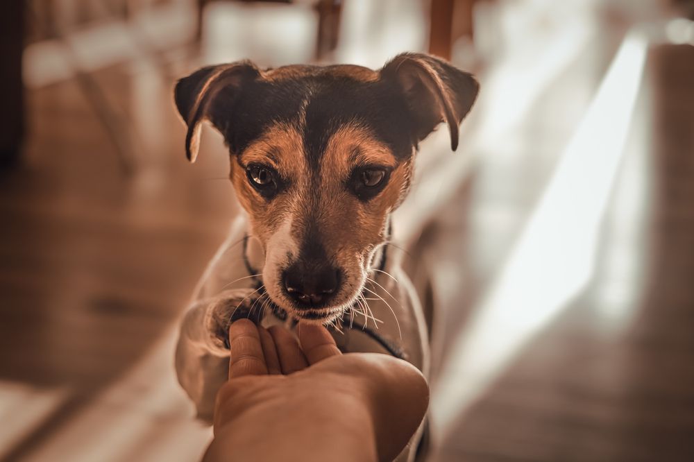 Photograph by Aga Kucinska