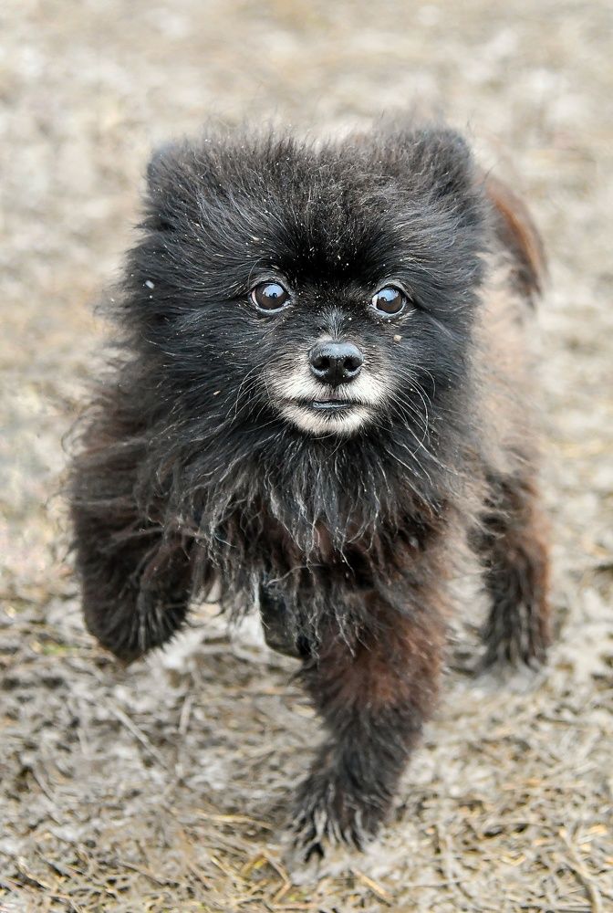 Фотография автора Дмитрий Чуфаров