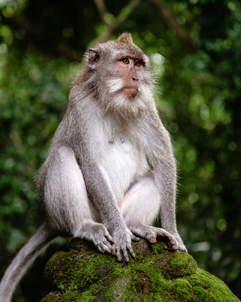 Photograph by Дарья Штерн