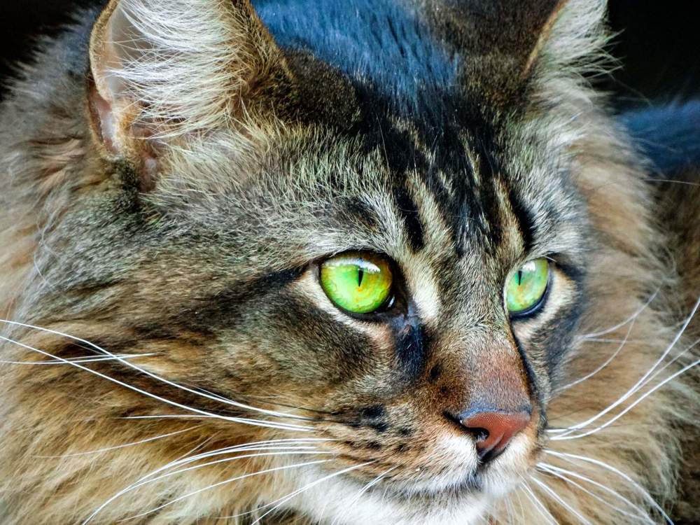 Photograph by Анжелика Трошина