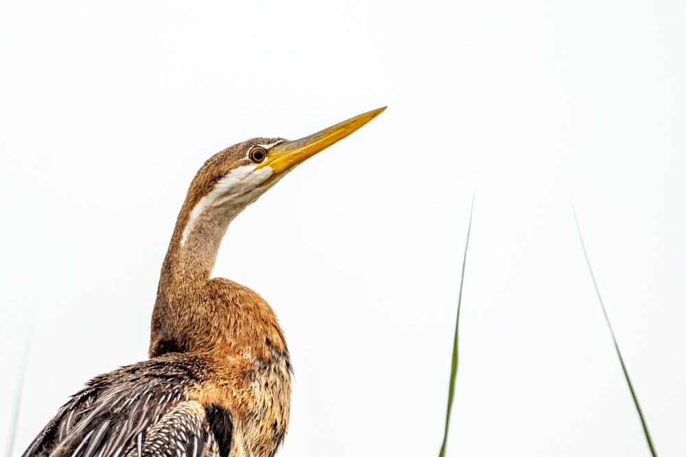 Photograph by Ken Stavrou