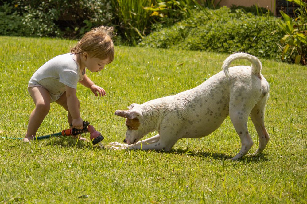 Photograph by Ken Stavrou