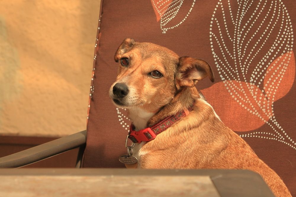 Photograph by Ken Stavrou