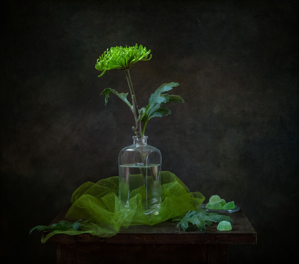 В зеленых тонах