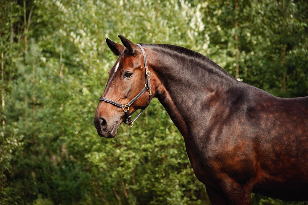 Photograph by Элен Рай