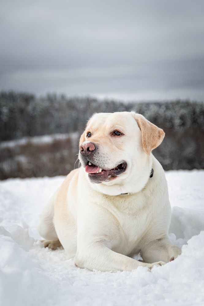 Photograph by Элен Рай