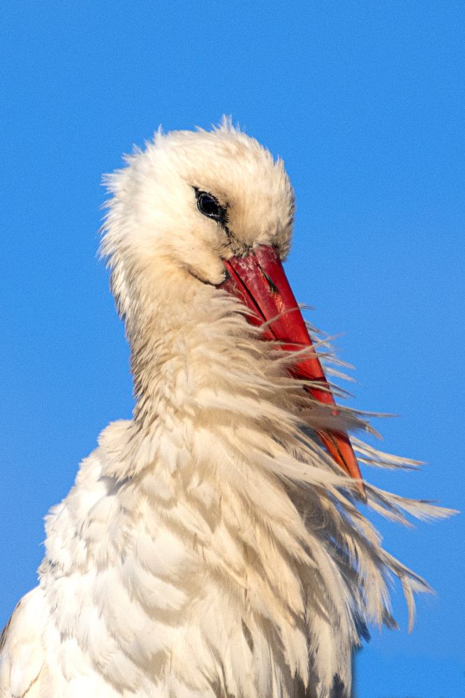 Photograph by Anna Suchcicka