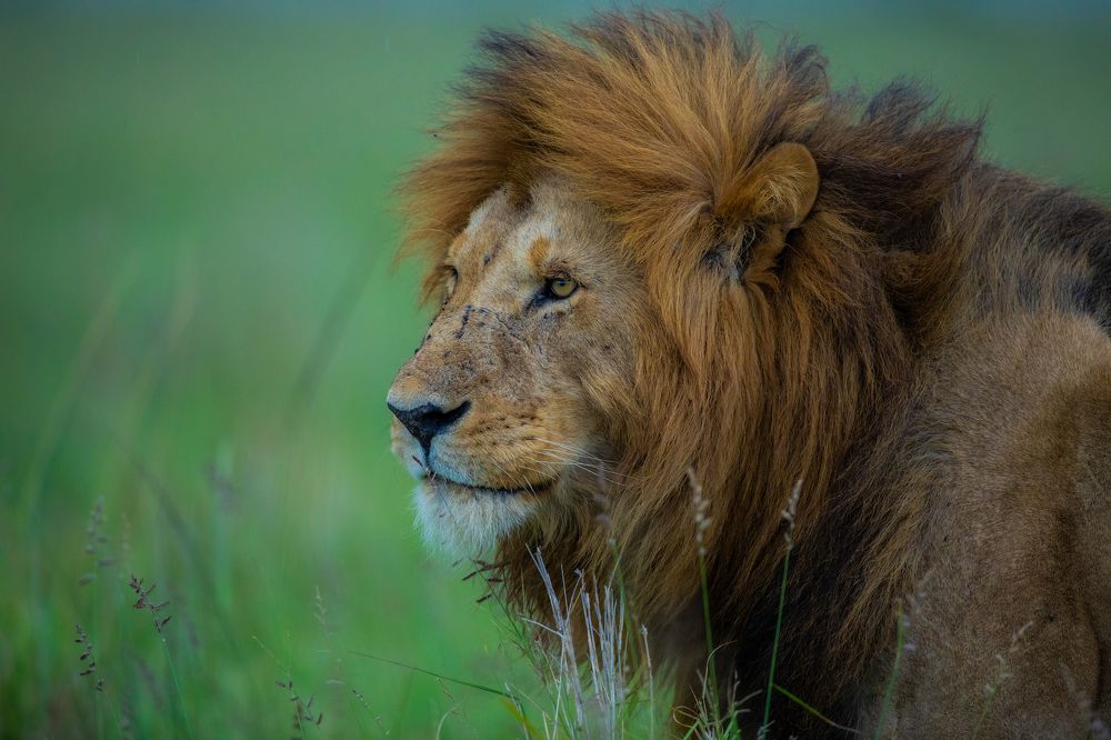 Photograph by Sangeetha Damodaran