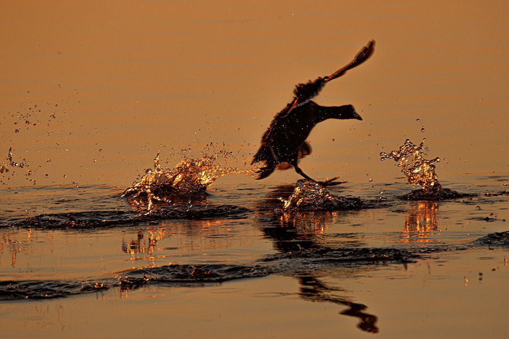 Photograph by Anna Suchcicka