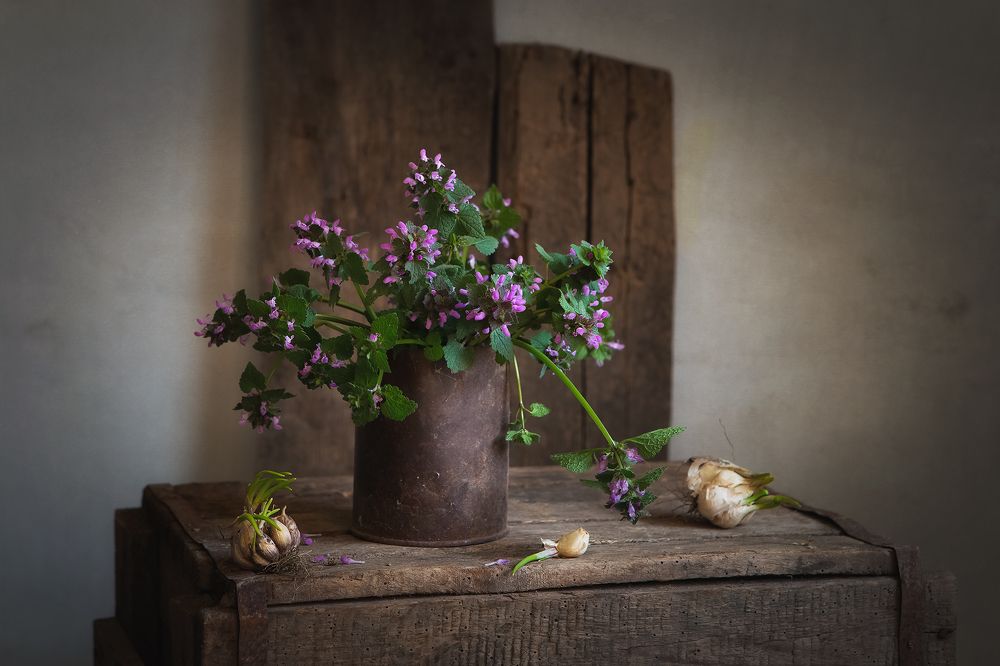 Photograph by Инна Сухова