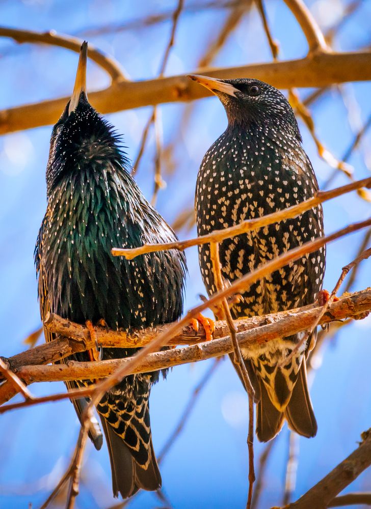 Photograph by Парфентьев Антон