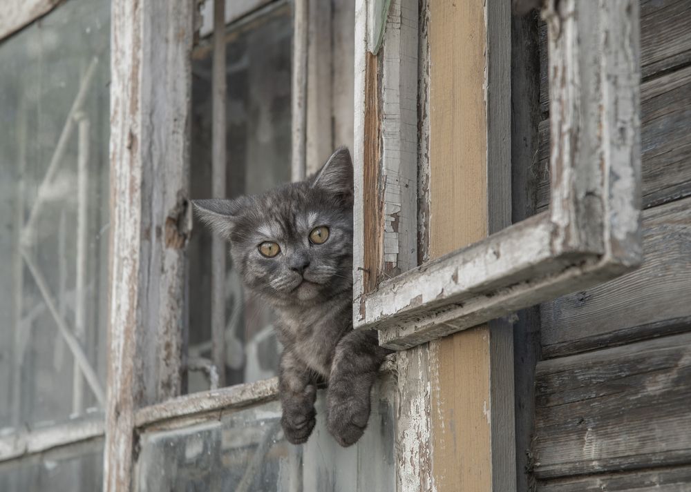 Photograph by Галина Патрушева