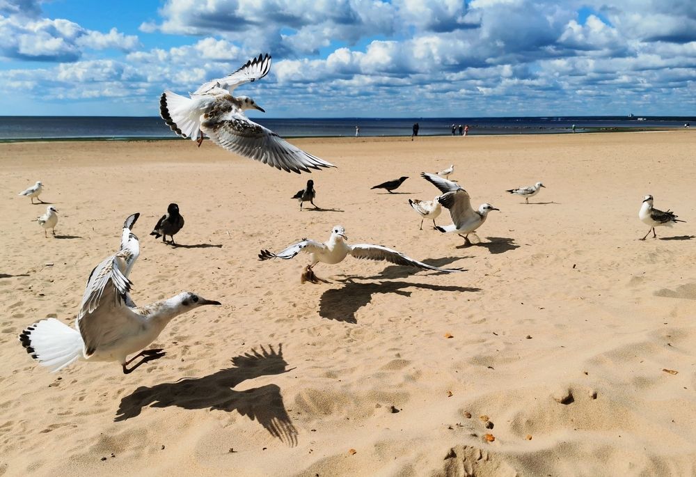 Photograph by Лукина Наталья