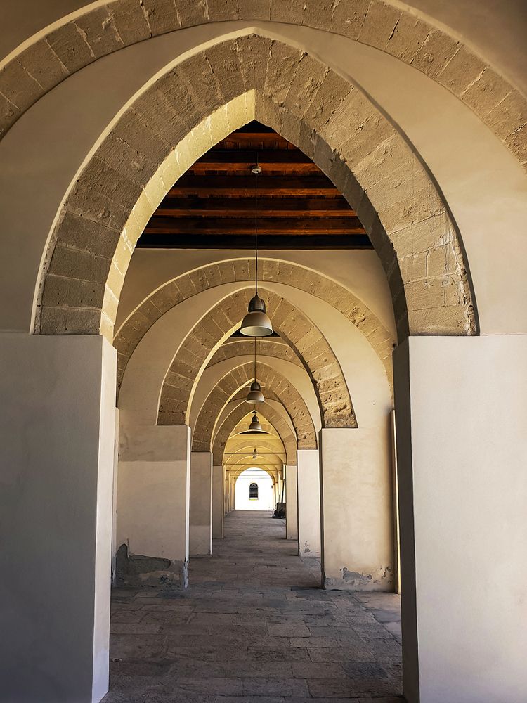 Photograph by Barbara Pindo