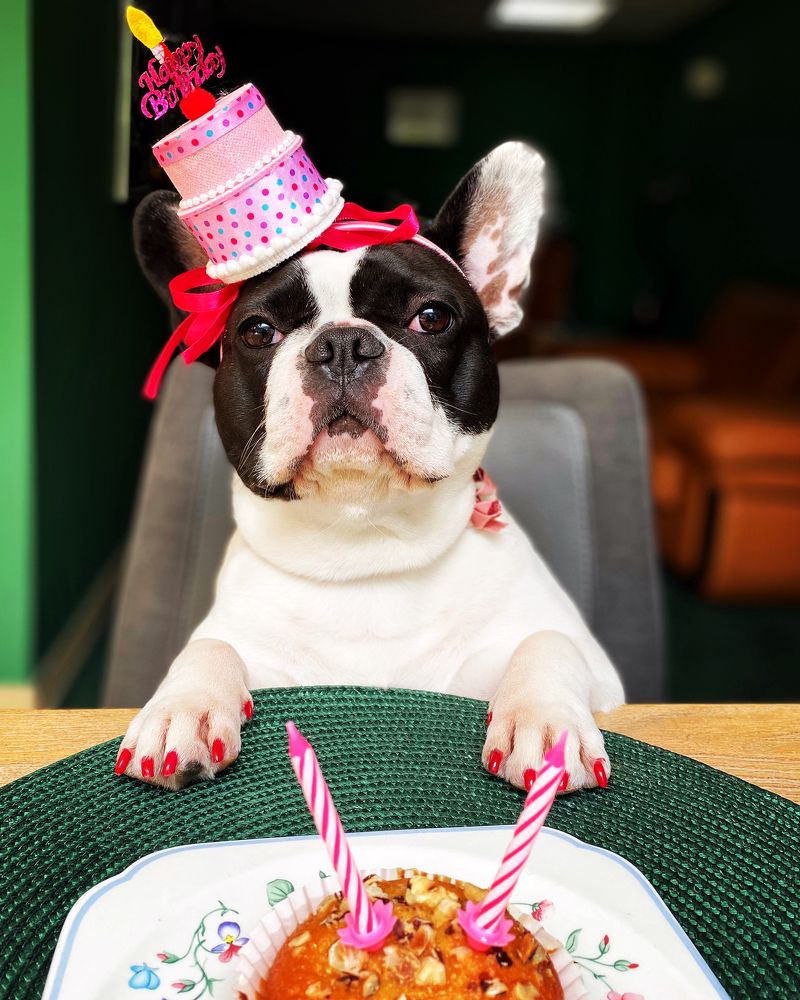 Photograph by Elena Antashkevitch