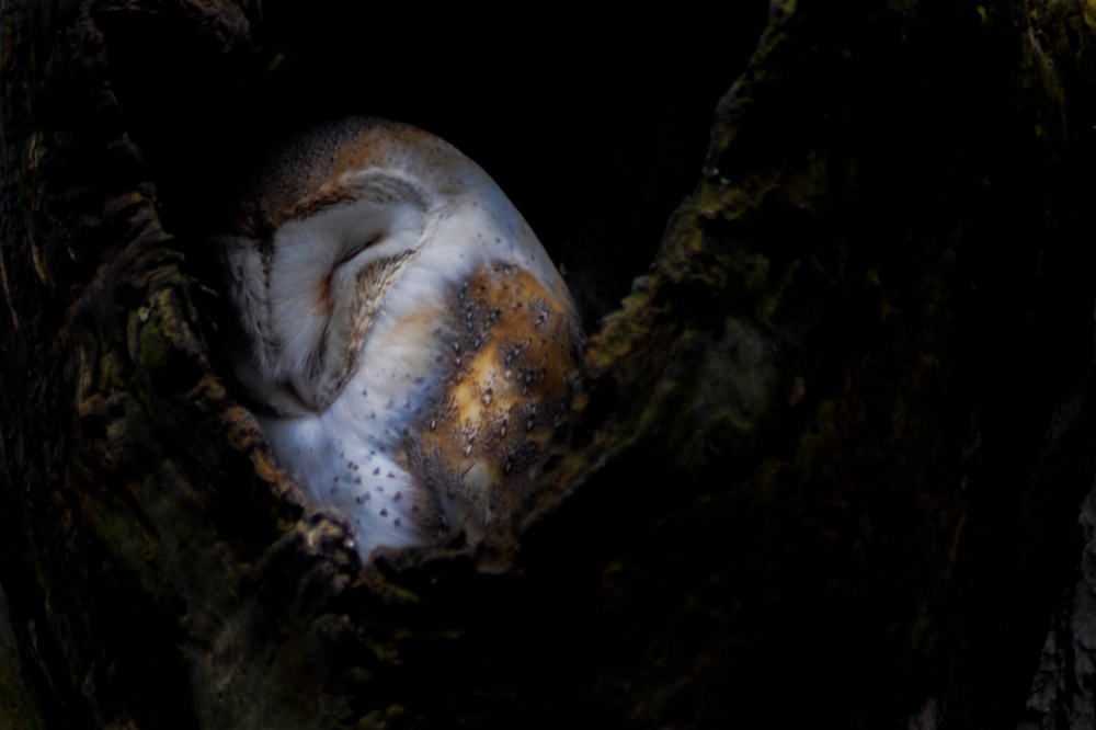 Photograph by Luka Mitrovic