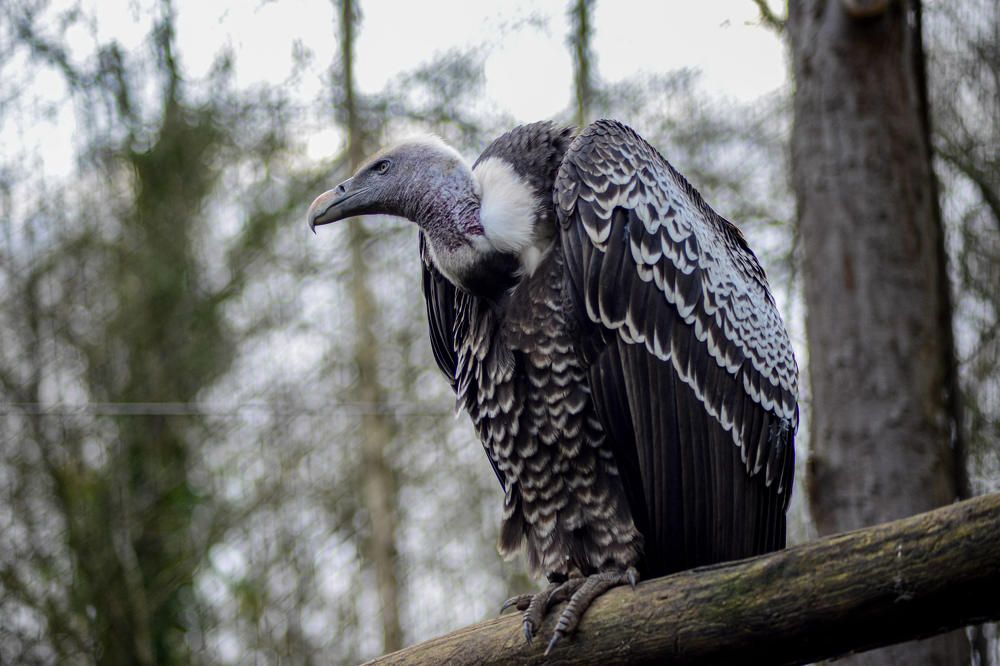 Photograph by Luka Mitrovic