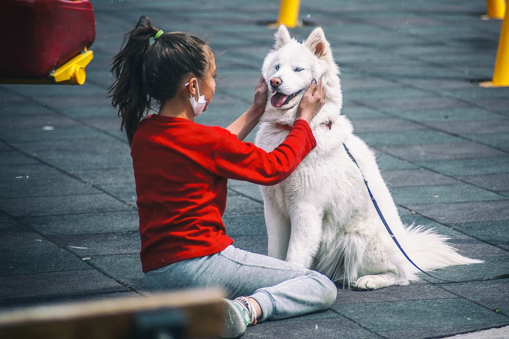 Photograph by DAMOUN POURNEMATI