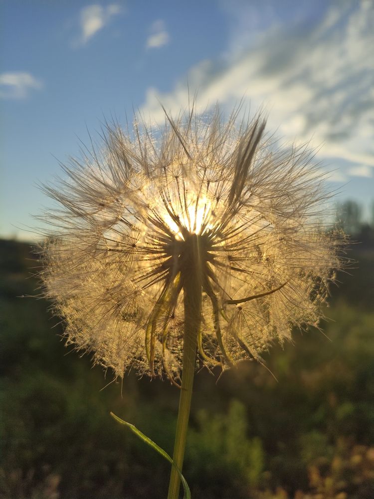 Photograph by Valeriaja Prokopenko