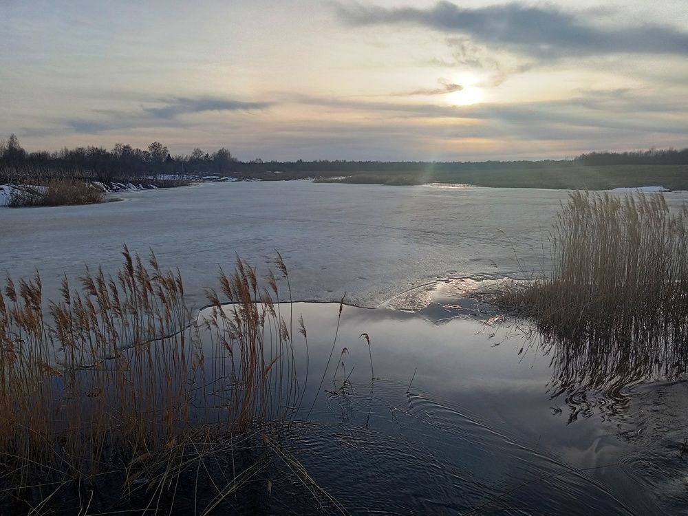 Photograph by Валентина Смирнова