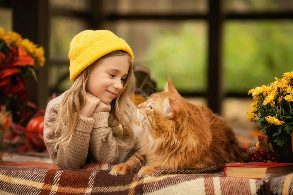 Photograph by Татьяна Гурова