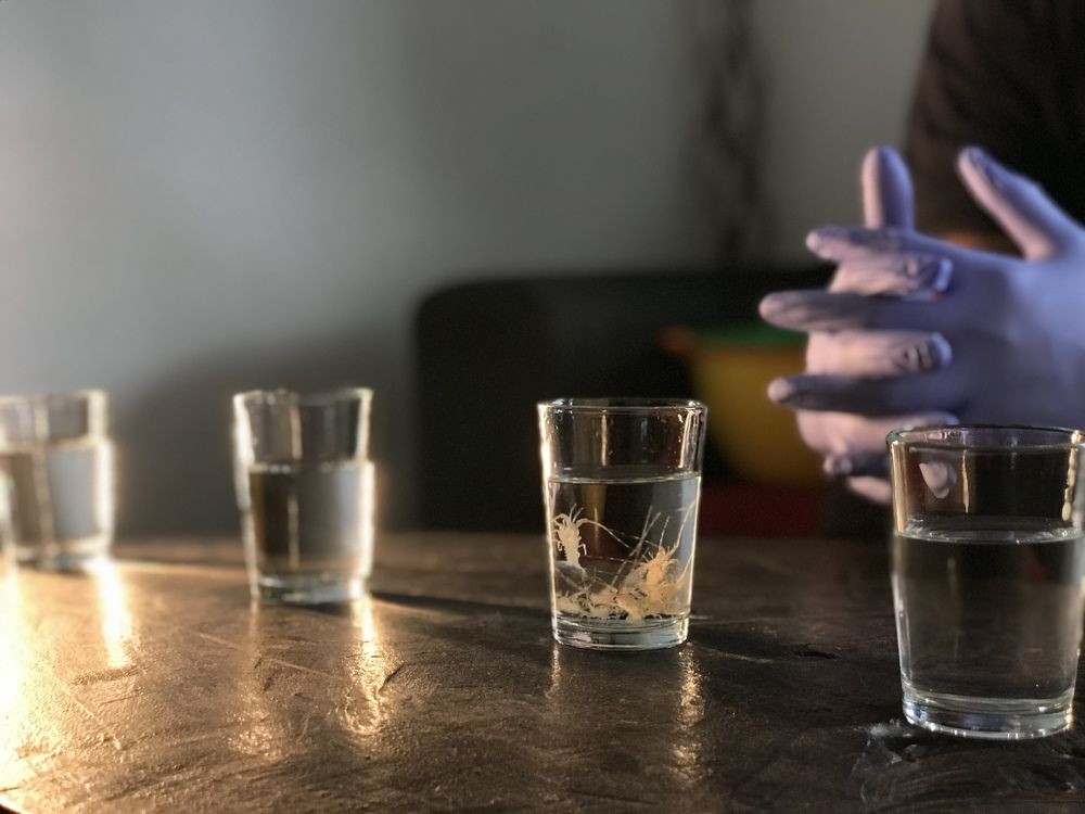 Фотография автора Zai R.