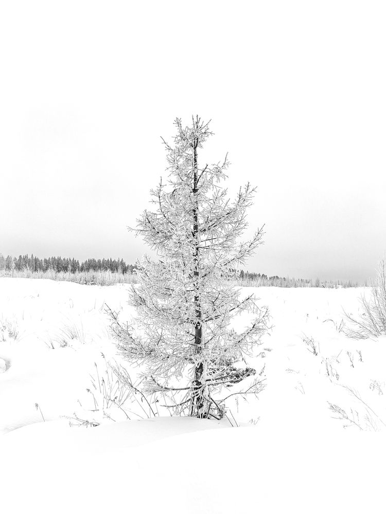 Photograph by Екатерина Абрамова