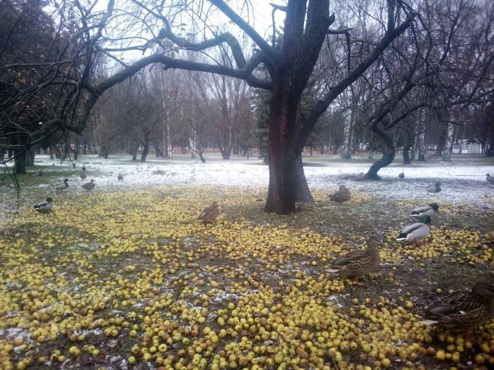 Photograph by Ася Кузьмина