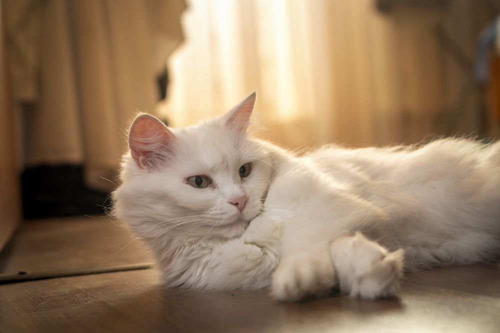 Photograph by Александр Белый