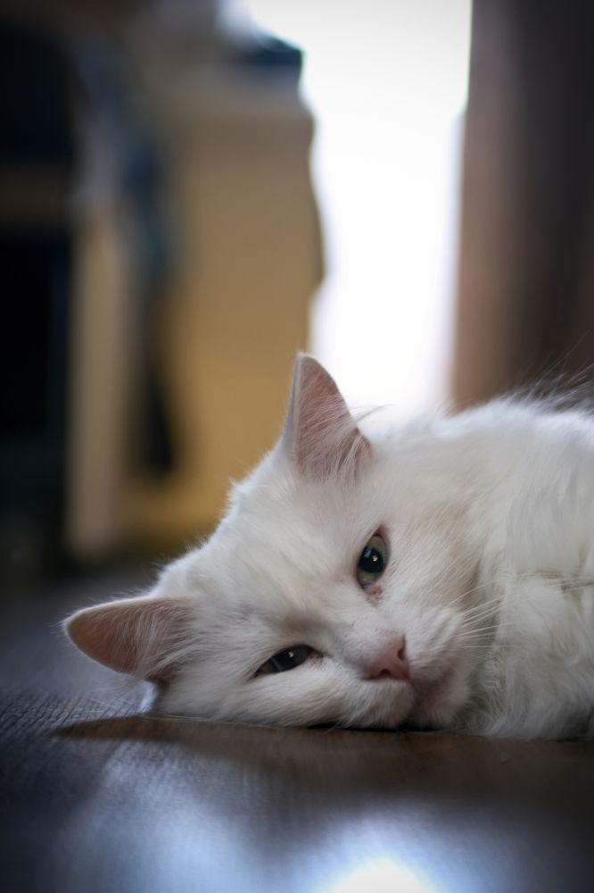 Photograph by Александр Белый