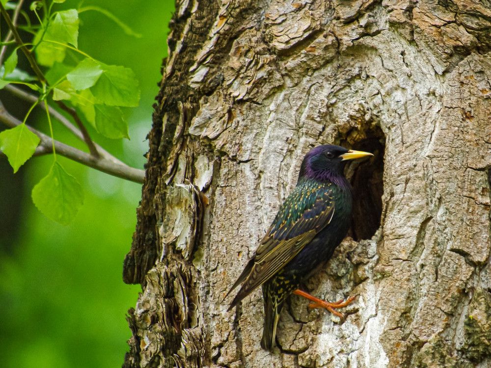 Photograph by Диана Бородзе