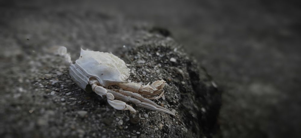 Photograph by Nilesh Mohite