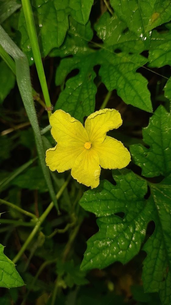 Photograph by Nilesh Mohite