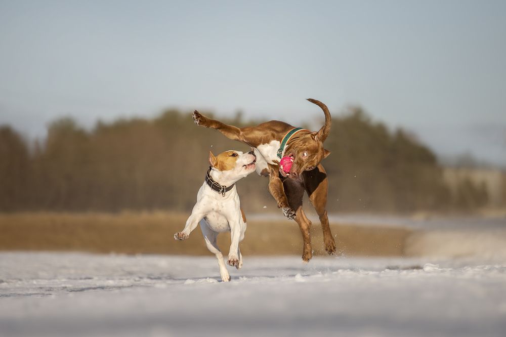 Photograph by Анастасия Осипова