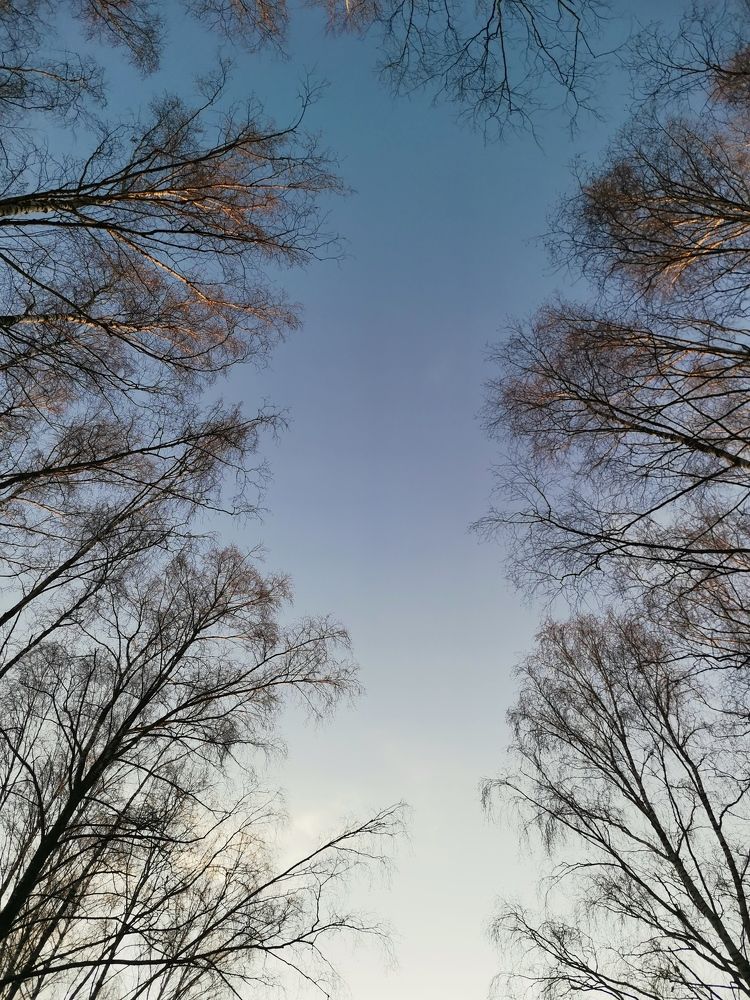 Photograph by Екатерина Дубровская