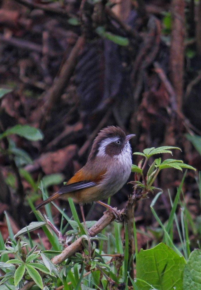 Photograph by Anand Targain