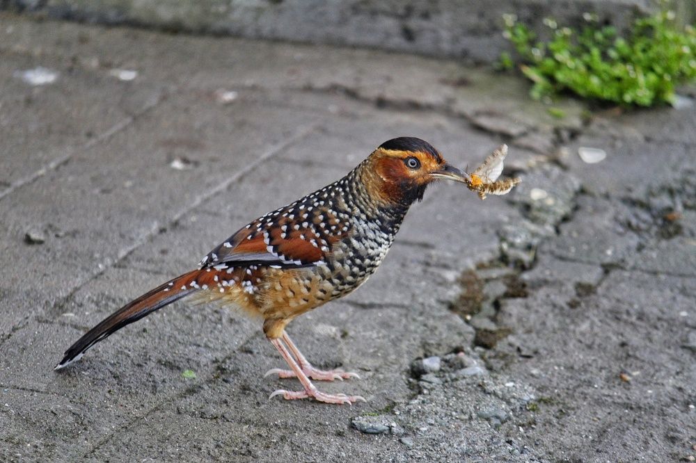 Photograph by Anand Targain