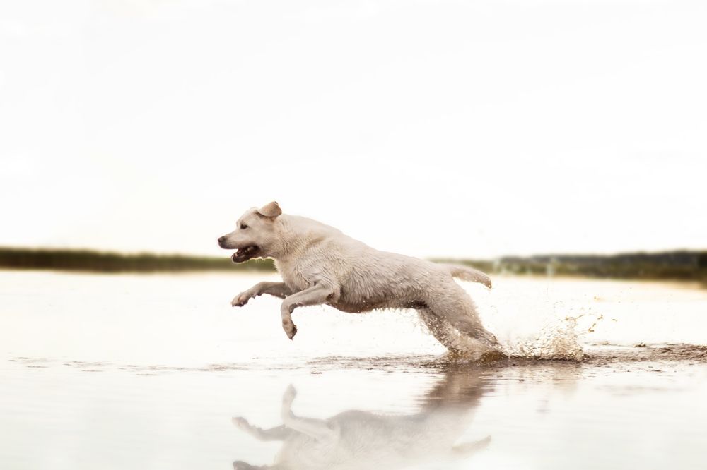 Photograph by Анастасия Осипова