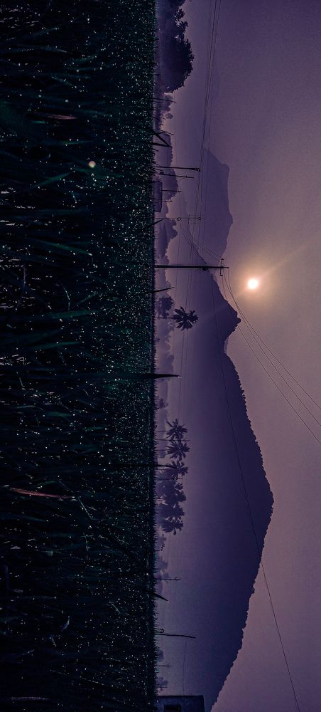 Photo #7502898